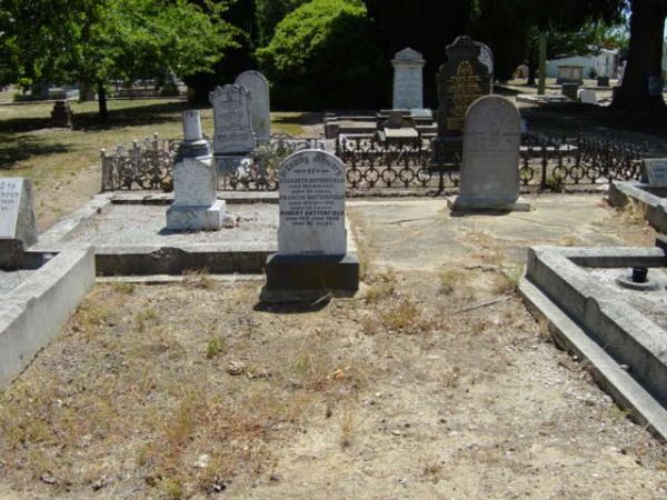 Full-size image