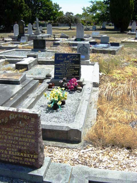 Full-size image