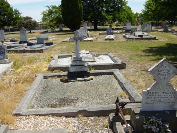 Full-size image