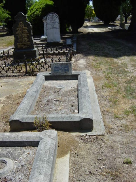 Full-size image