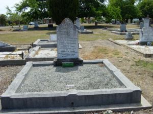 Full-size image