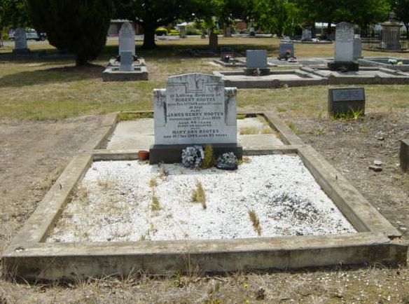 Full-size image