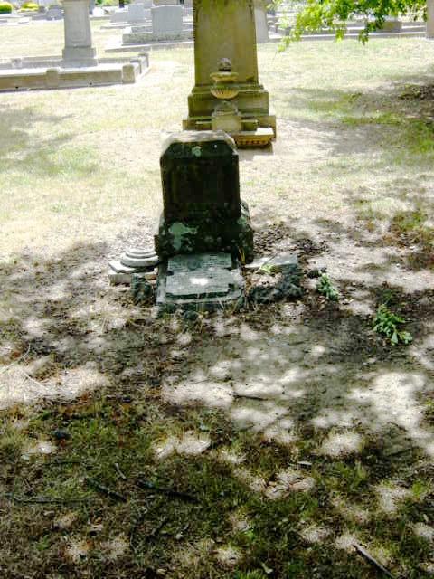 Full-size image