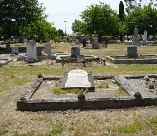 Full-size image