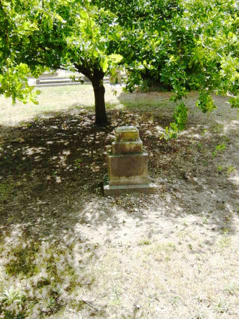 Full-size image