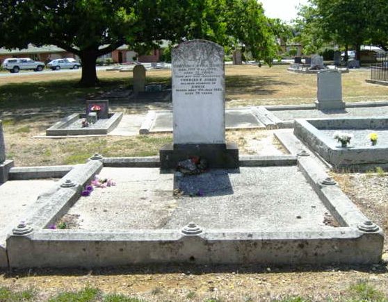 Full-size image