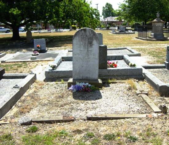 Full-size image