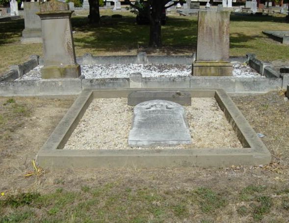 Full-size image