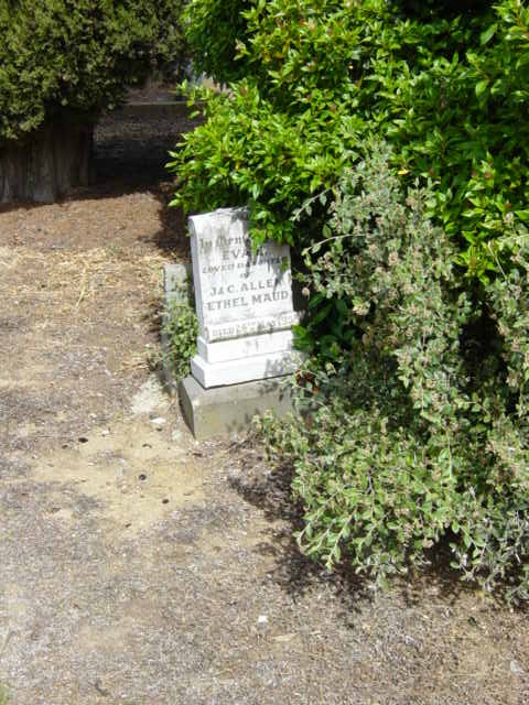 Full-size image