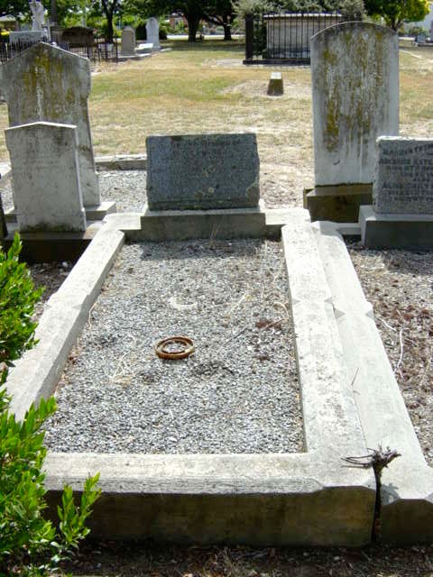 Full-size image