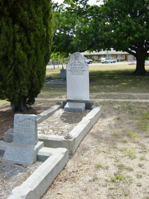 Full-size image