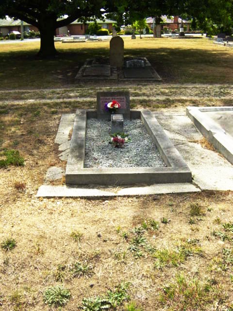 Full-size image