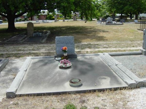 Full-size image