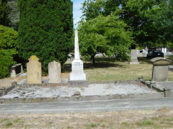 Full-size image