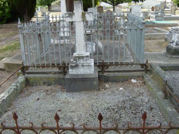 Full-size image