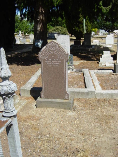 Full-size image