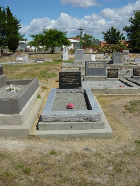 Full-size image