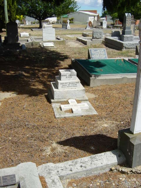 Full-size image
