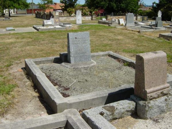 Full-size image
