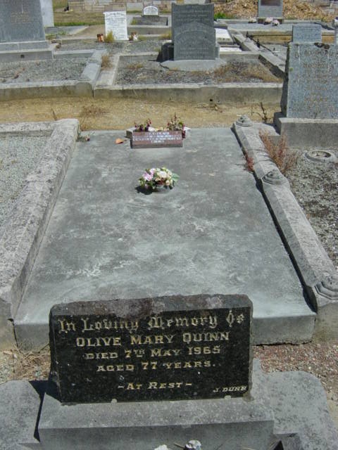 Full-size image