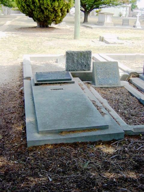 Full-size image