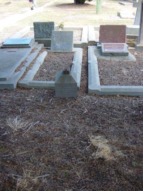 Full-size image