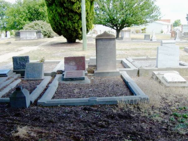 Full-size image
