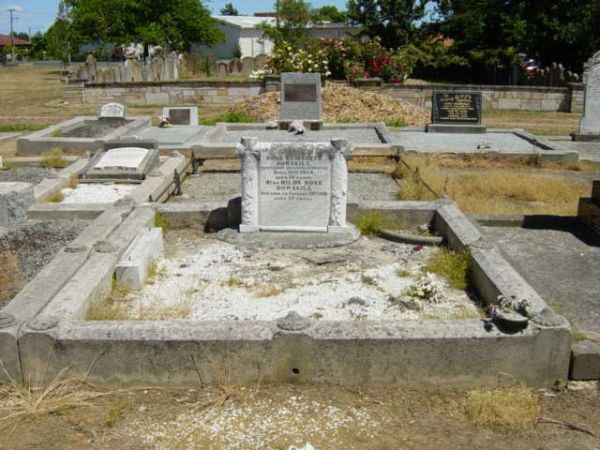 Full-size image