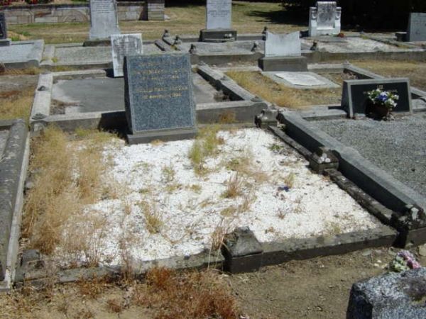 Full-size image