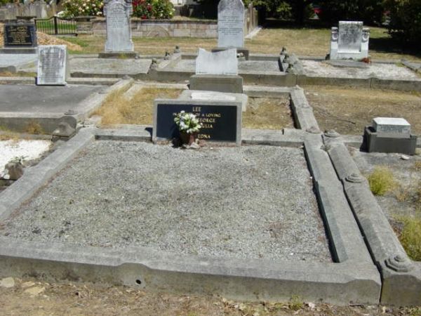 Full-size image