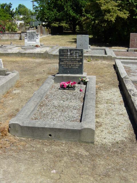 Full-size image