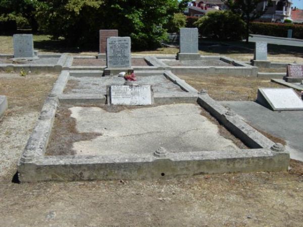 Full-size image