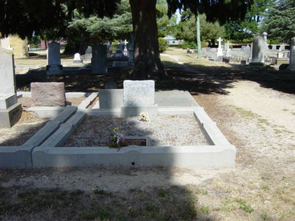 Full-size image
