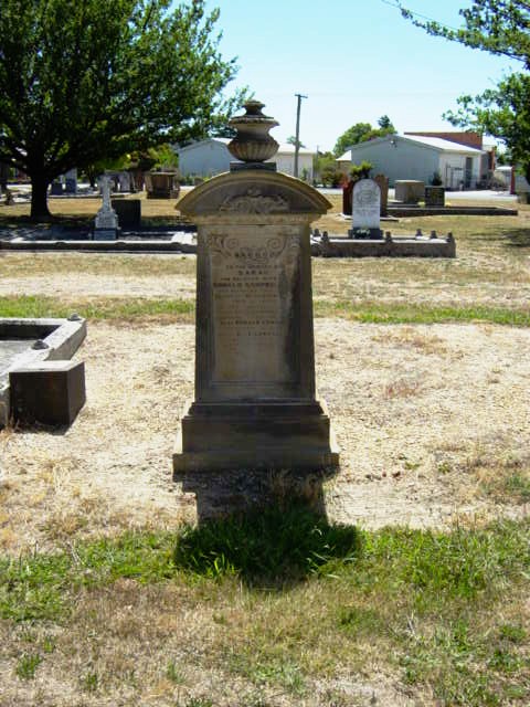 Full-size image