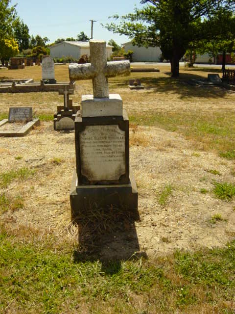 Full-size image