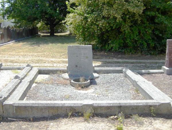 Full-size image
