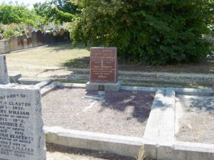 Full-size image