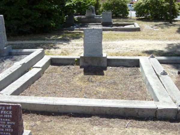 Full-size image