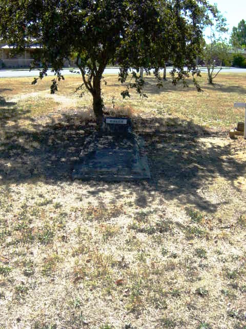 Full-size image