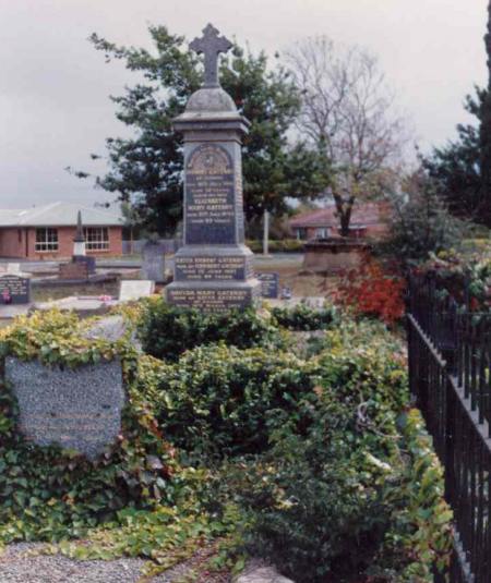Full-size image