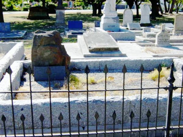 Full-size image