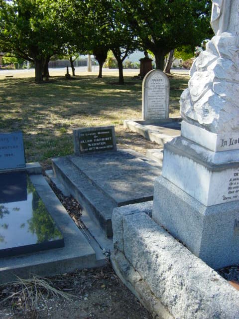 Full-size image
