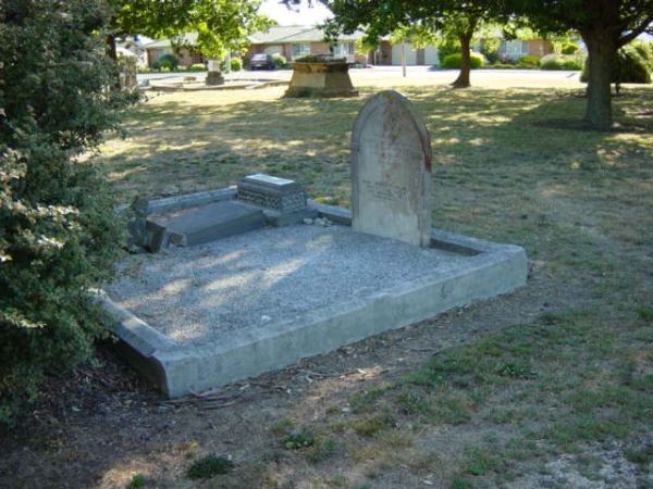 Full-size image