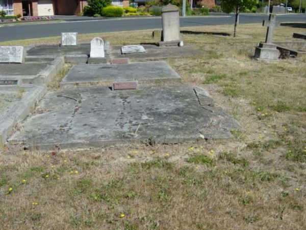 Full-size image