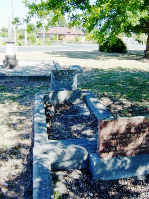 Full-size image