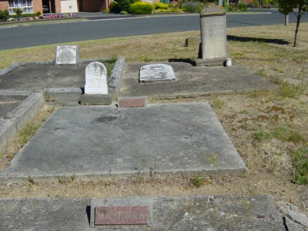 Full-size image