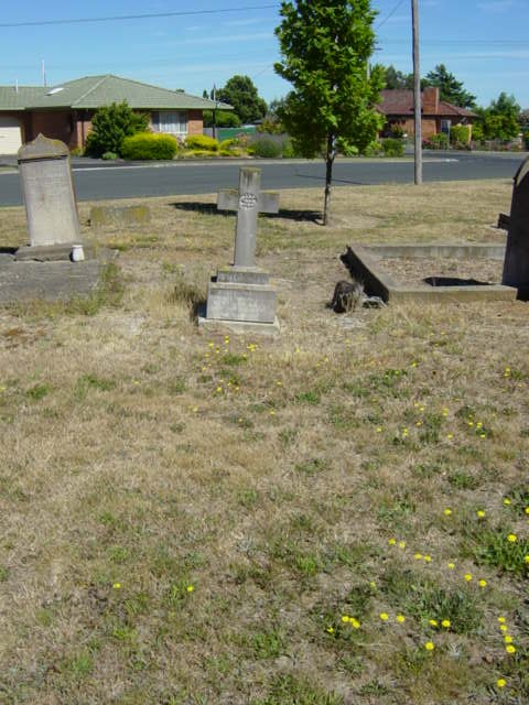 Full-size image