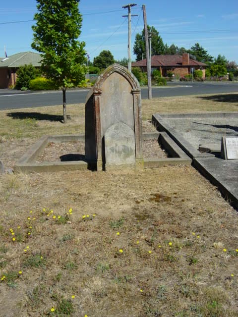 Full-size image