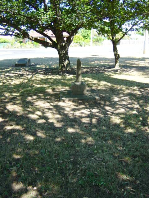 Full-size image