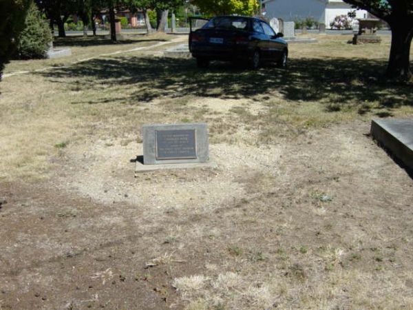 Full-size image